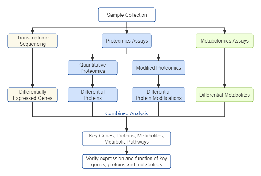 Project Workflow of Transcriptomics+Proteomics + Metabolomics